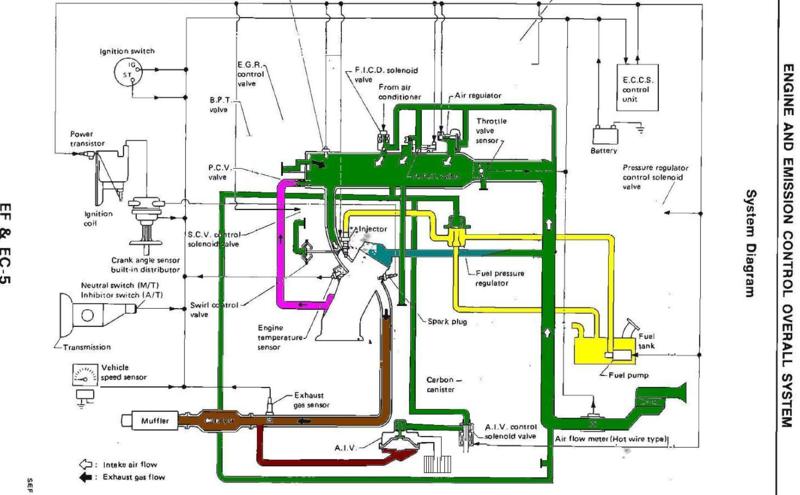 EF&EC-5-COLOR2_800x495.jpg